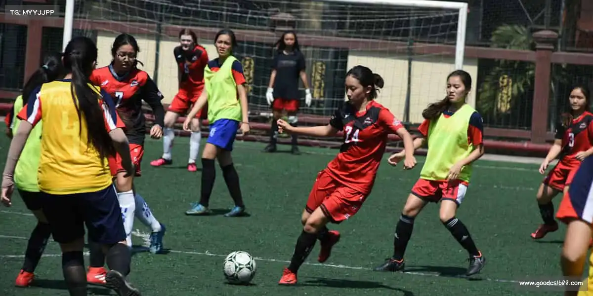 行业领先的理由